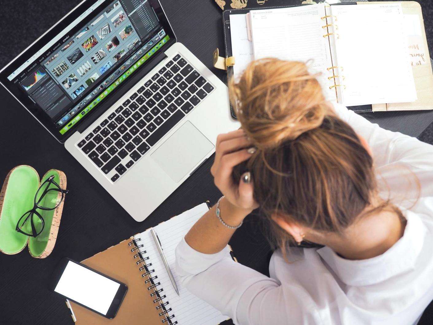 Training environment showing SEO analysis workflow